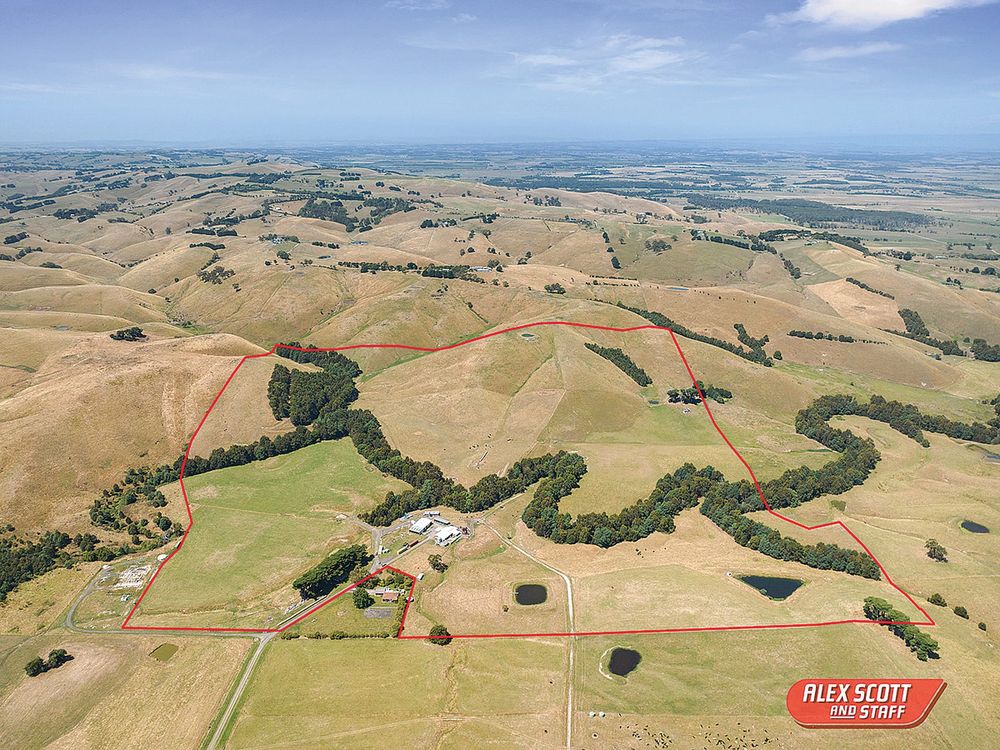 Heavy carrying cattle country post image
