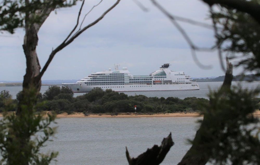 Phillip Island penguins on ‘Odyssey’ cruise agenda post image