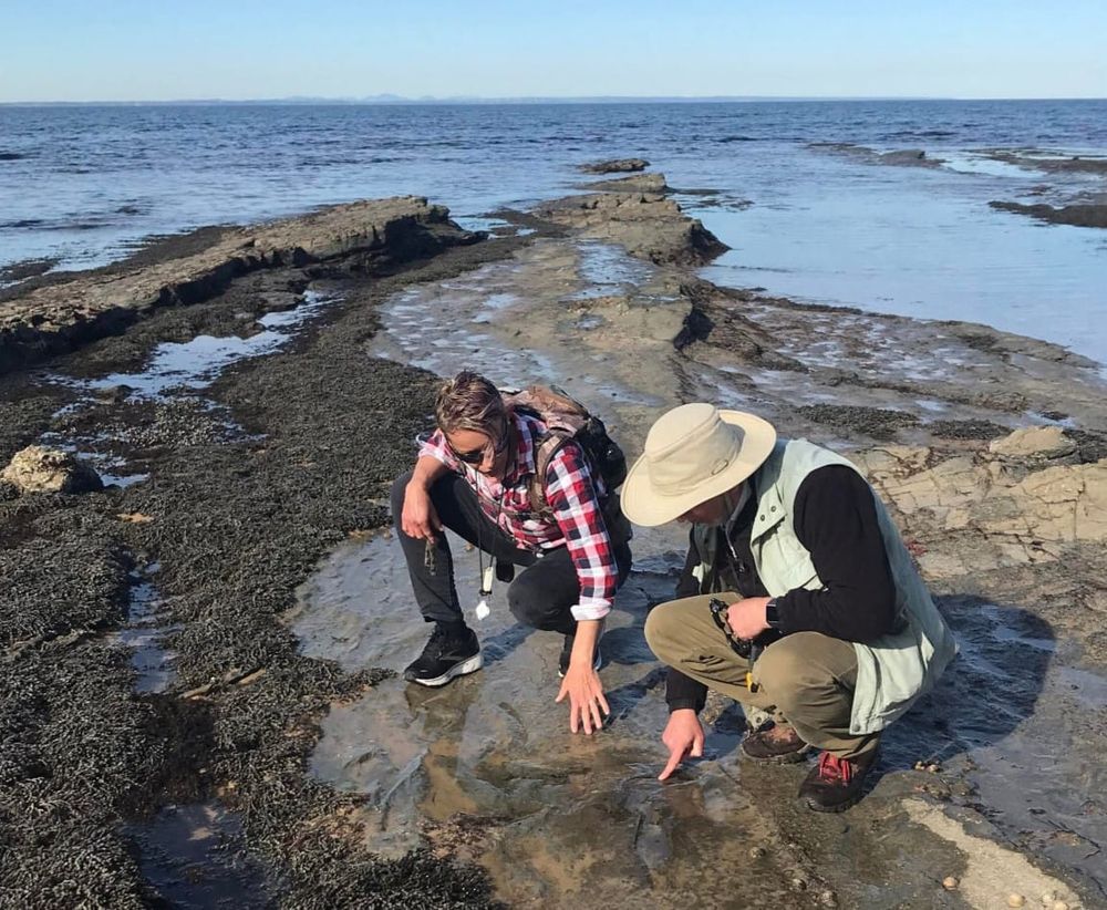 From dinosaurs to the present: All roads lead to Bass Coast post image