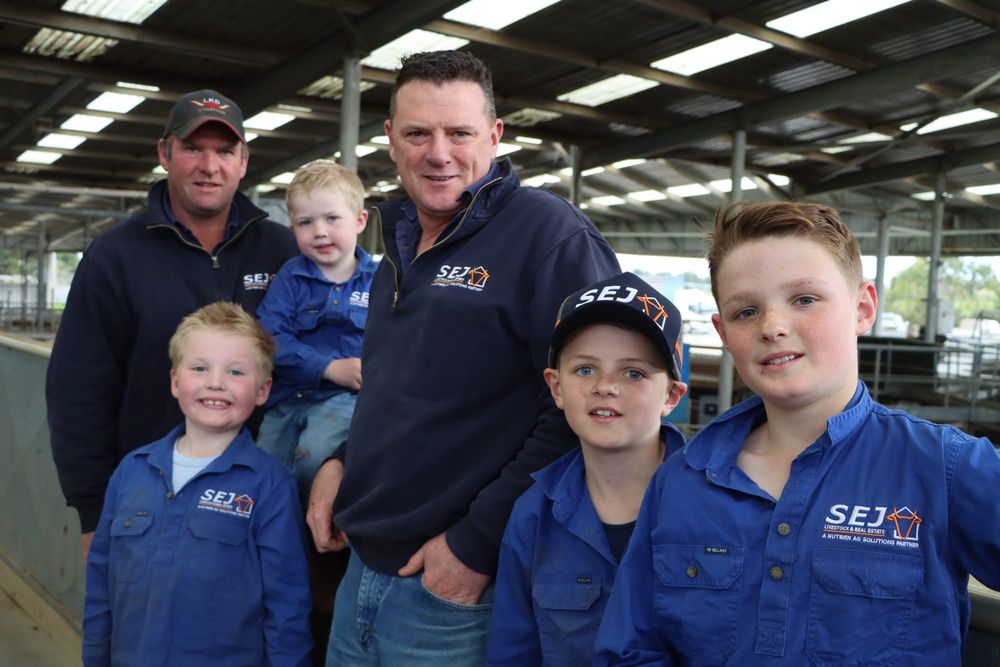 Cattle price concerns in Koonwarra post image