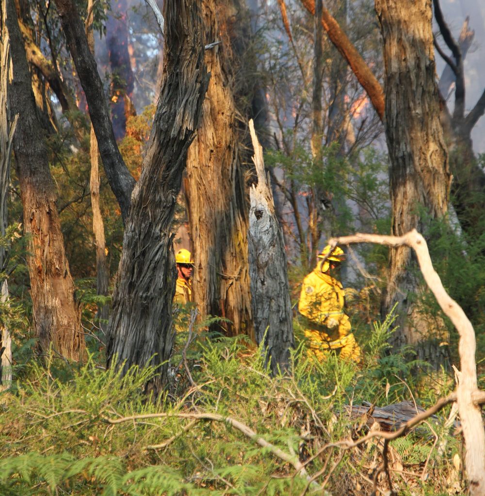 'Extra crews and aircraft' join The Gurdies fire fight post image