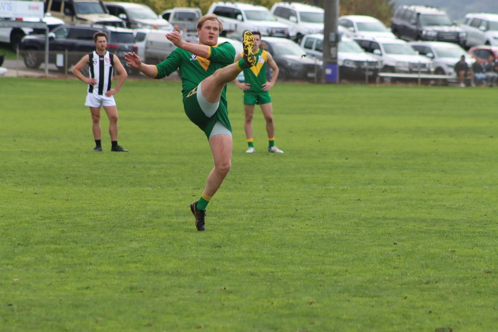 Ten out of Ten Parrots post image