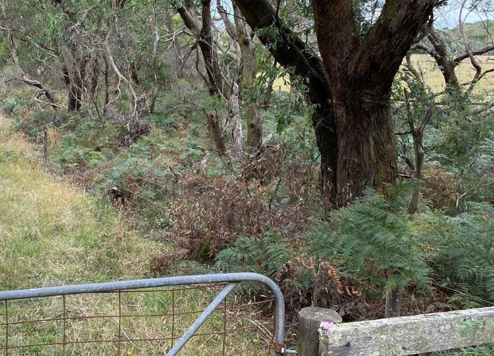 One question: How much vegetation will be lost? post image