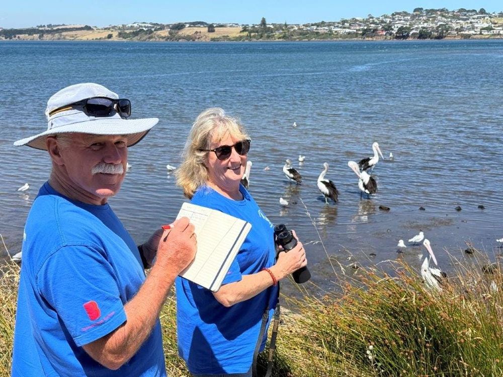 The mysteries that surround these magnificent creatures post image