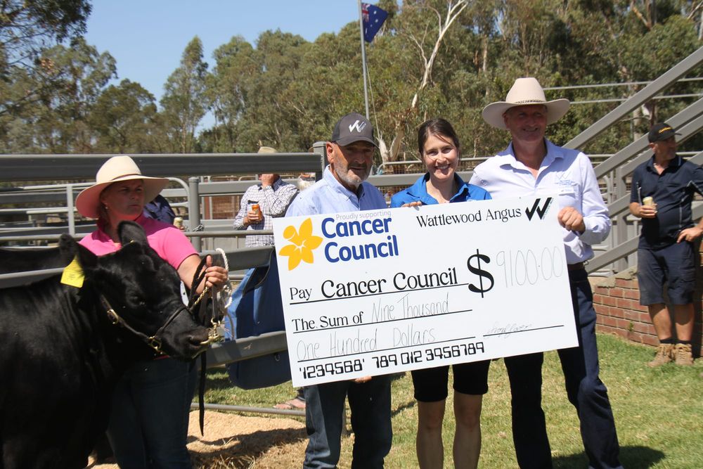 Angus auctioned for Biggest Morning Tea post image
