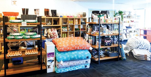 Drop in to The Dainty Gumboot post image