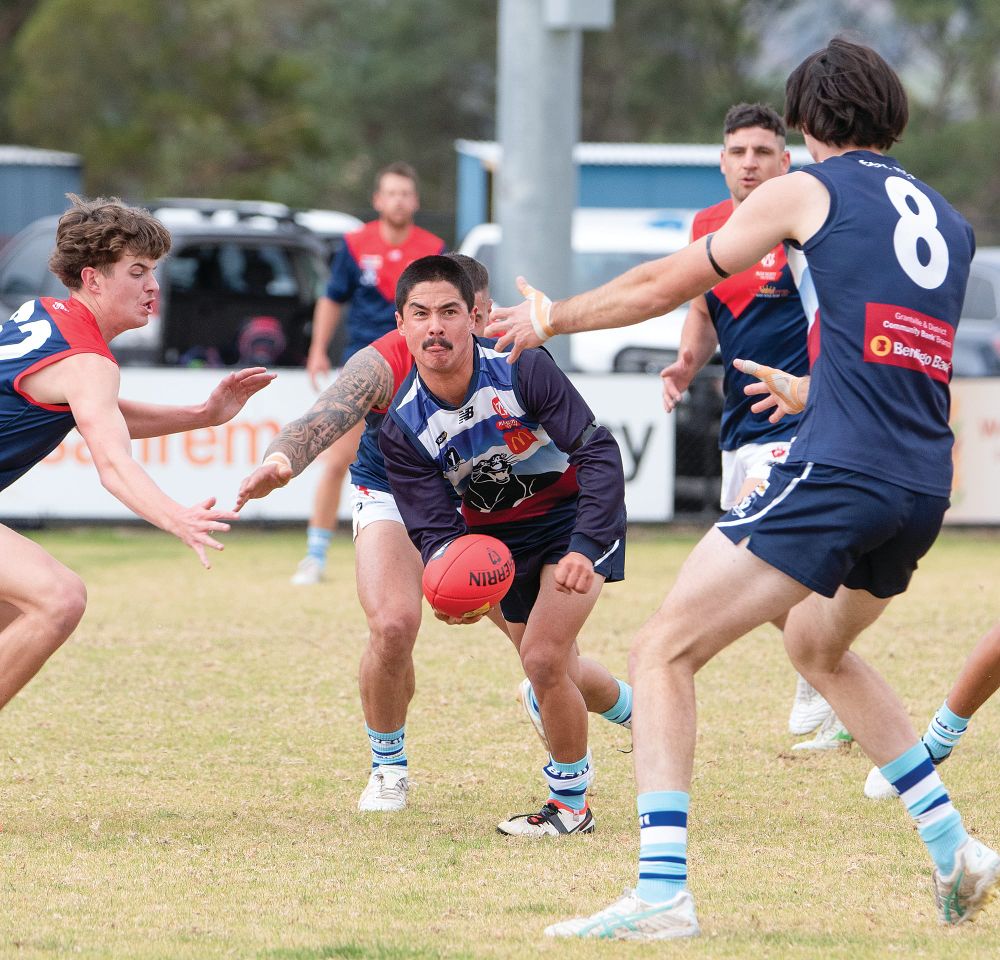 Panthers prevail in mid-table showdown post image