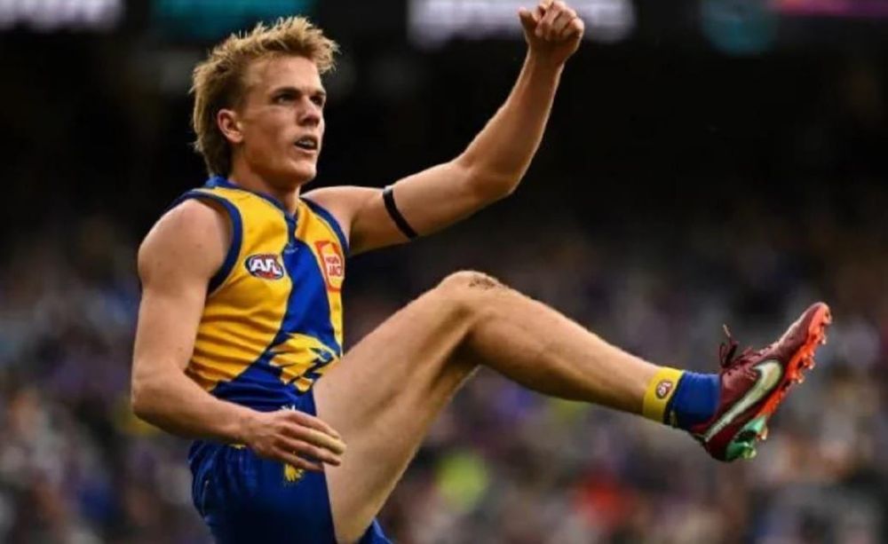 Hutchinson flies again with Melbourne-bound Eagles post image