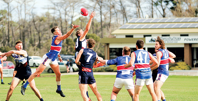 Gibson kicks nine in stirring Panthers’ victory post image