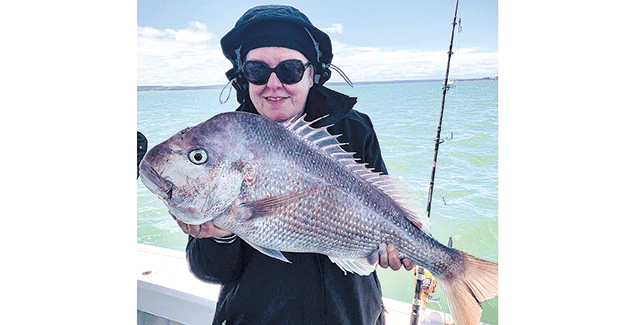 Around the Bay - Tuesday, December 14, 2021 post image