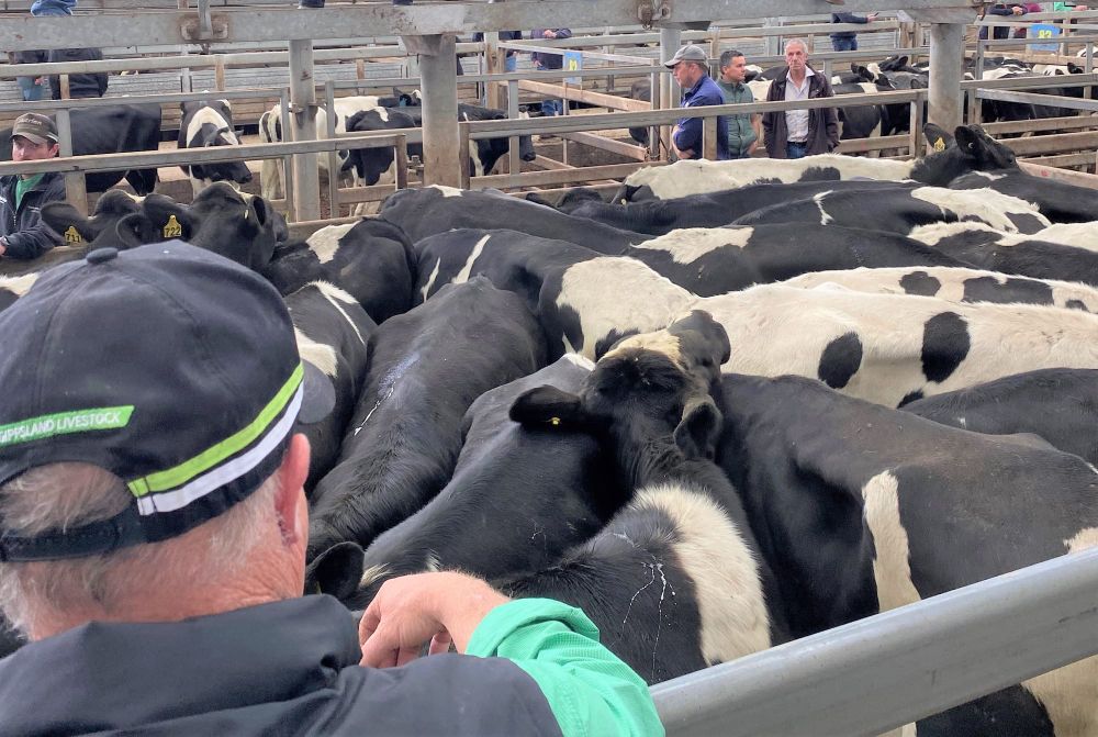 Budget: The good, the bad and the ugly for farmers post image