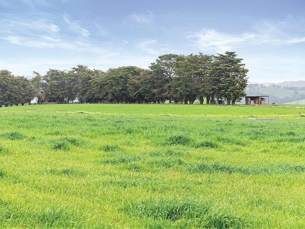 Multipurpose property in Mirboo North - 77 acres with planning permit post image