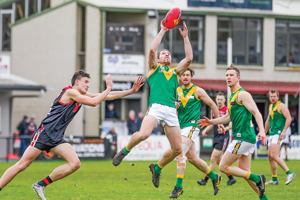 Parrots soar over young Gulls at Western Park post image