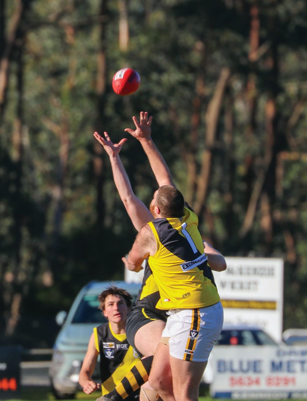 Foster dominates battle of the Tigers post image