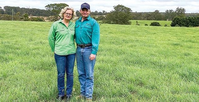 Savvy cocksfoot for sustainable farming post image