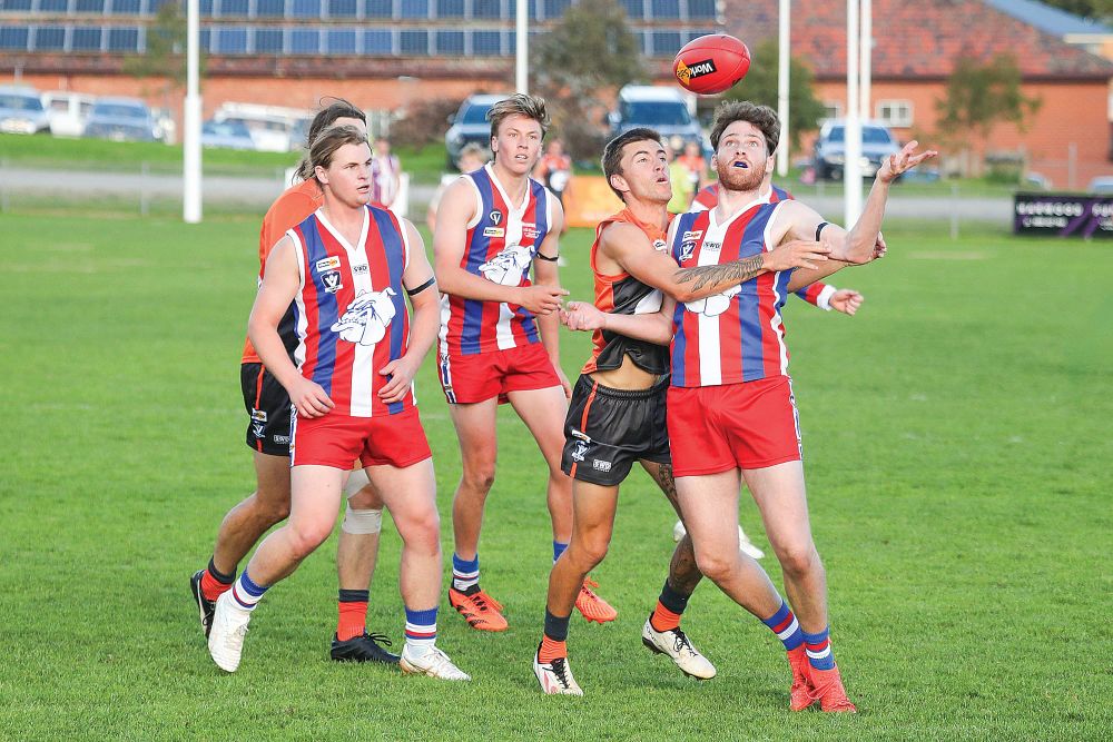 Midfield brilliance overwhelms Korumburra post image