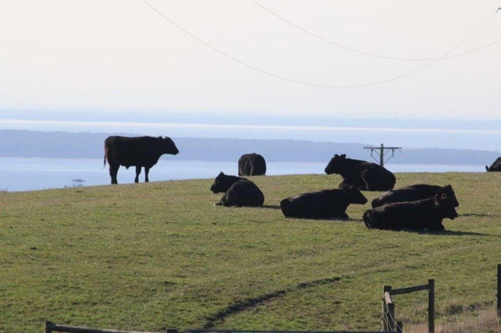 Last day for Bass Coast to make comment post image