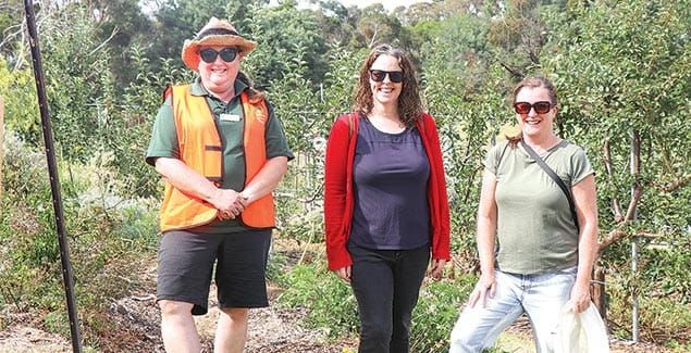 Sustainability in focus post image