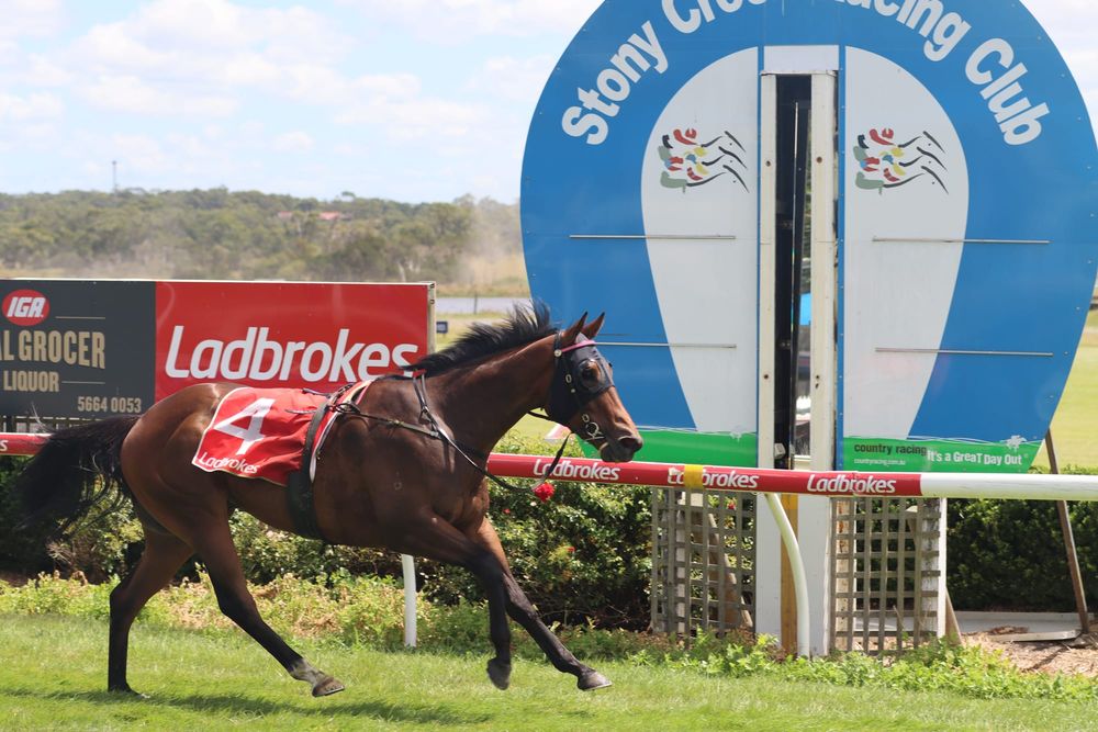 Two jockeys down in race fall at Stony Creek Tuesday post image