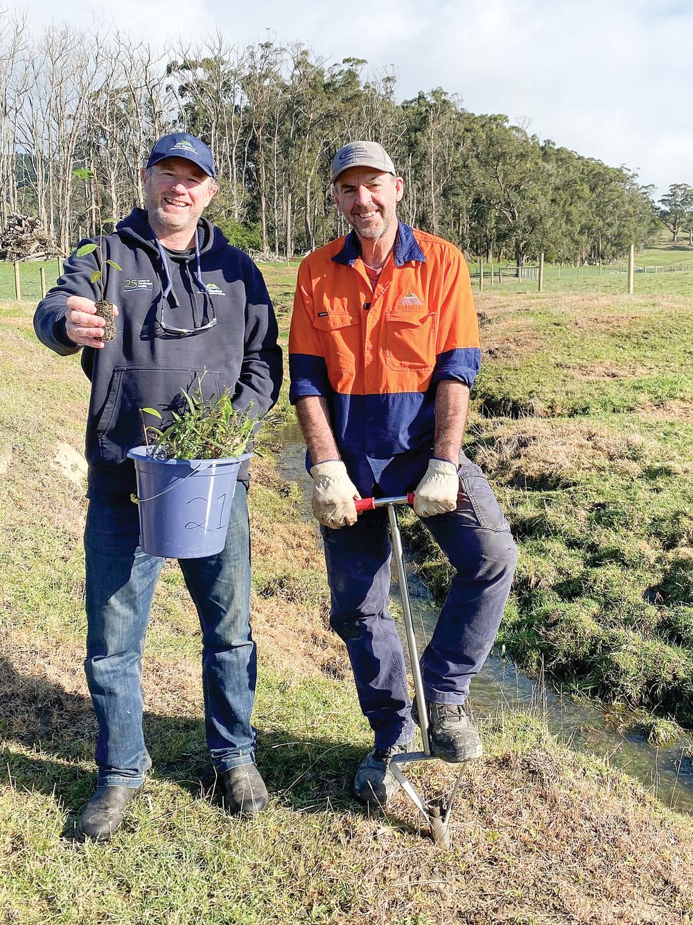 National Tree Day celebrated with special podcast post image