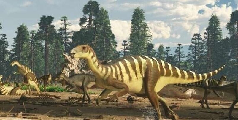 Funding pool shrinks for Bass Coast’s dinosaurs post image