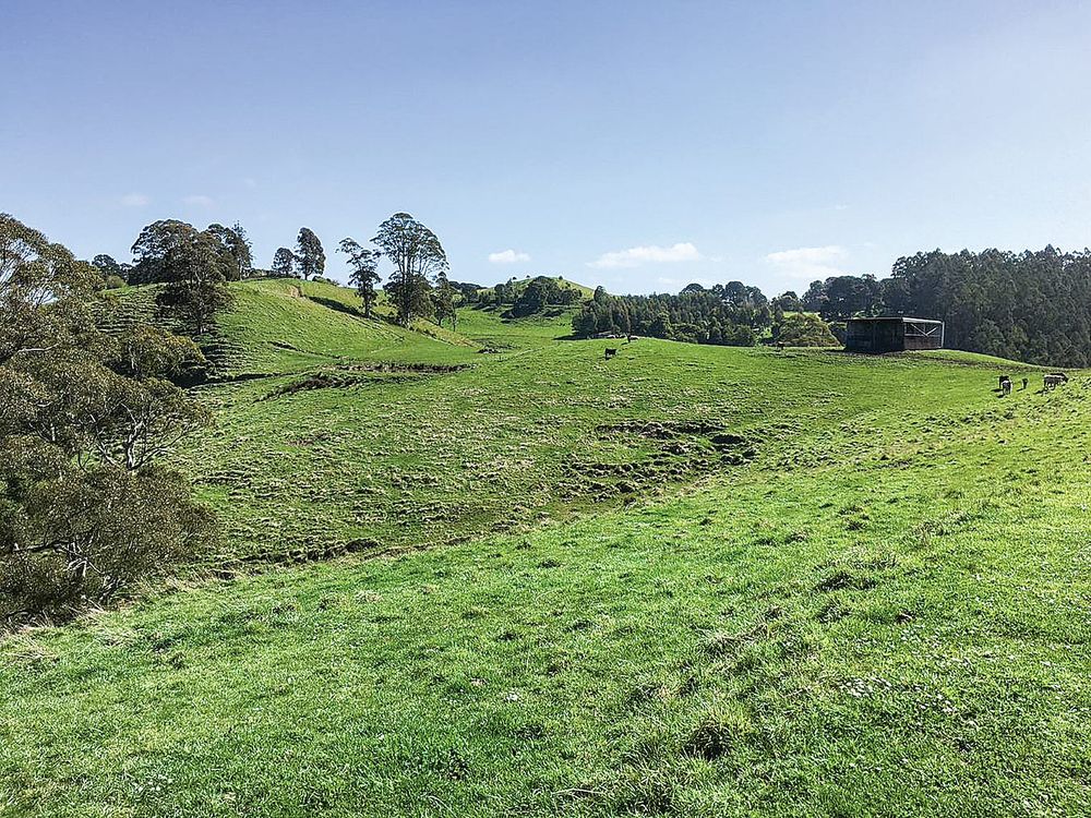Landholders unite for reforestation carbon aggregation post image