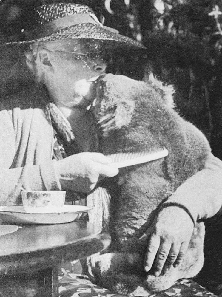 90 years celebrated at Cowes CWA post image