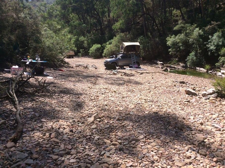 Stay safe in parks and forests this long weekend post image