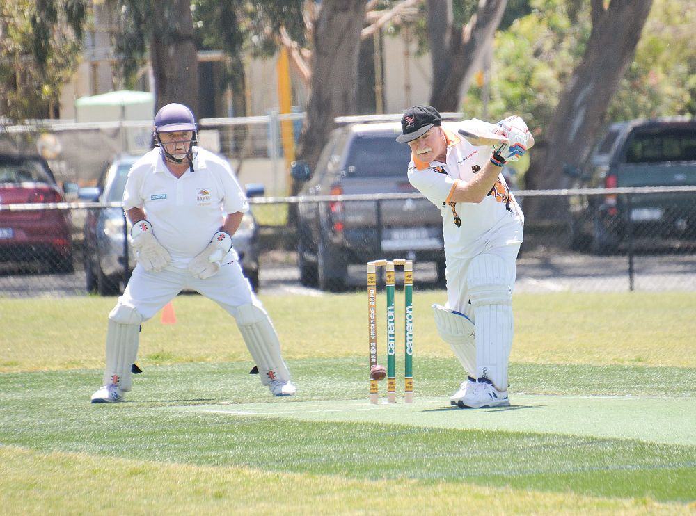 Goannas go well at Over 60s Nationals post image