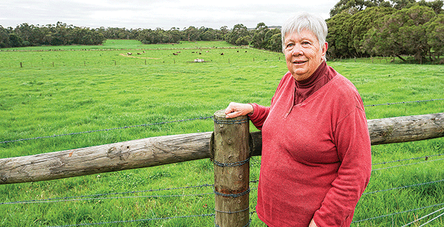 Permit needed for fences above 1.8m: draft policy post image