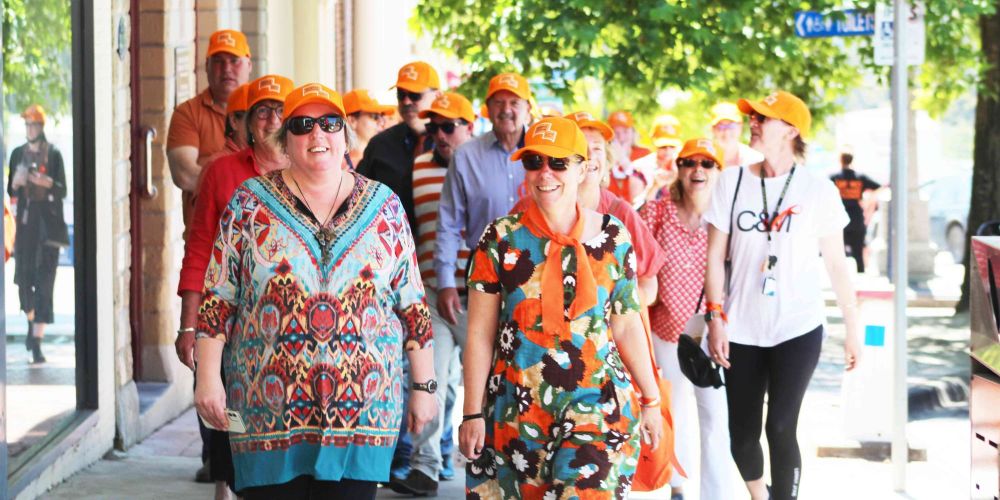 Walk against family violence post image