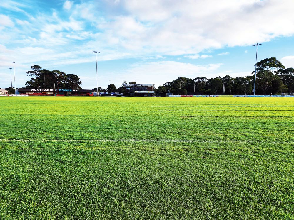 Cricketers left pitchless post image