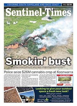 Tuesday, October 29, 2024 post image