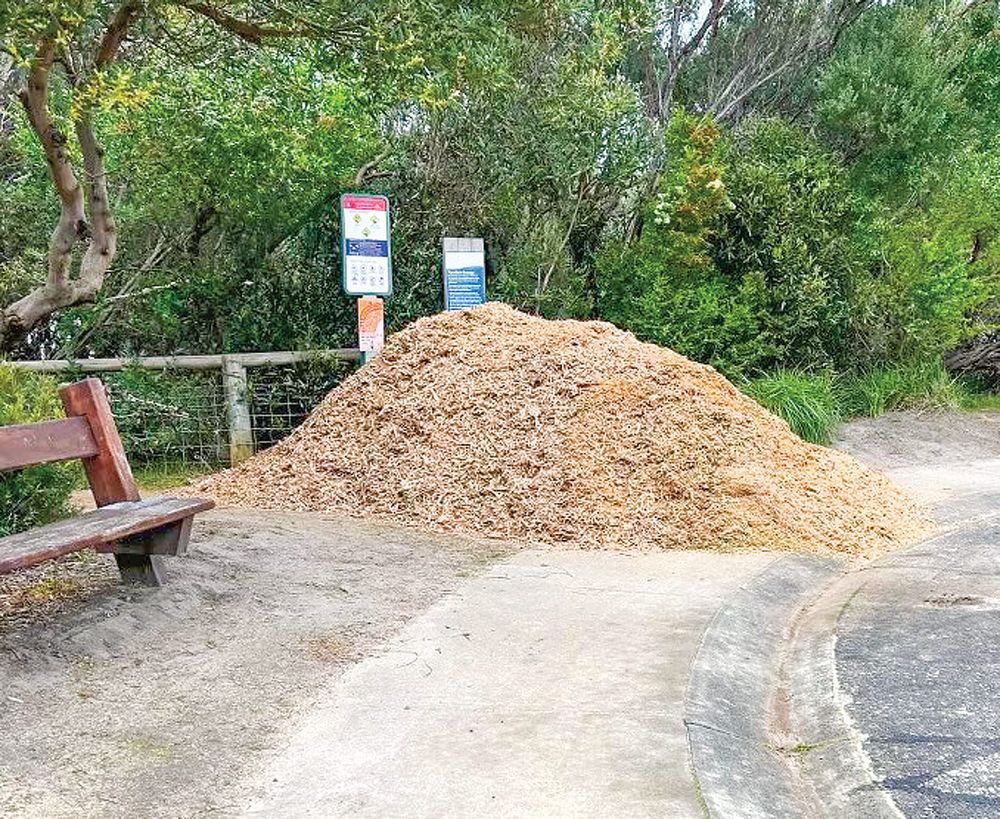 Why they’ve ‘bulldozed’ Cape Woolamai’s kids post image