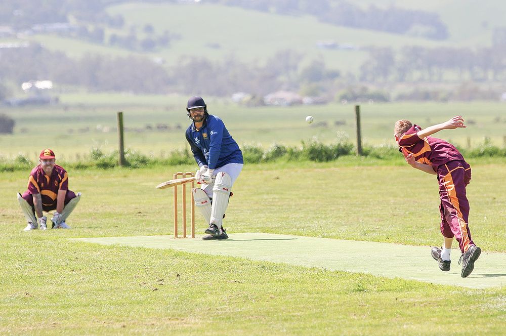 Sharks overpower the Cobras post image