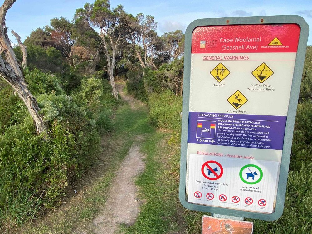 How dogs took the lead in the election outcome post image