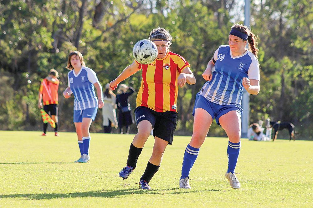 Leongatha Lady Knights return to winning ways post image