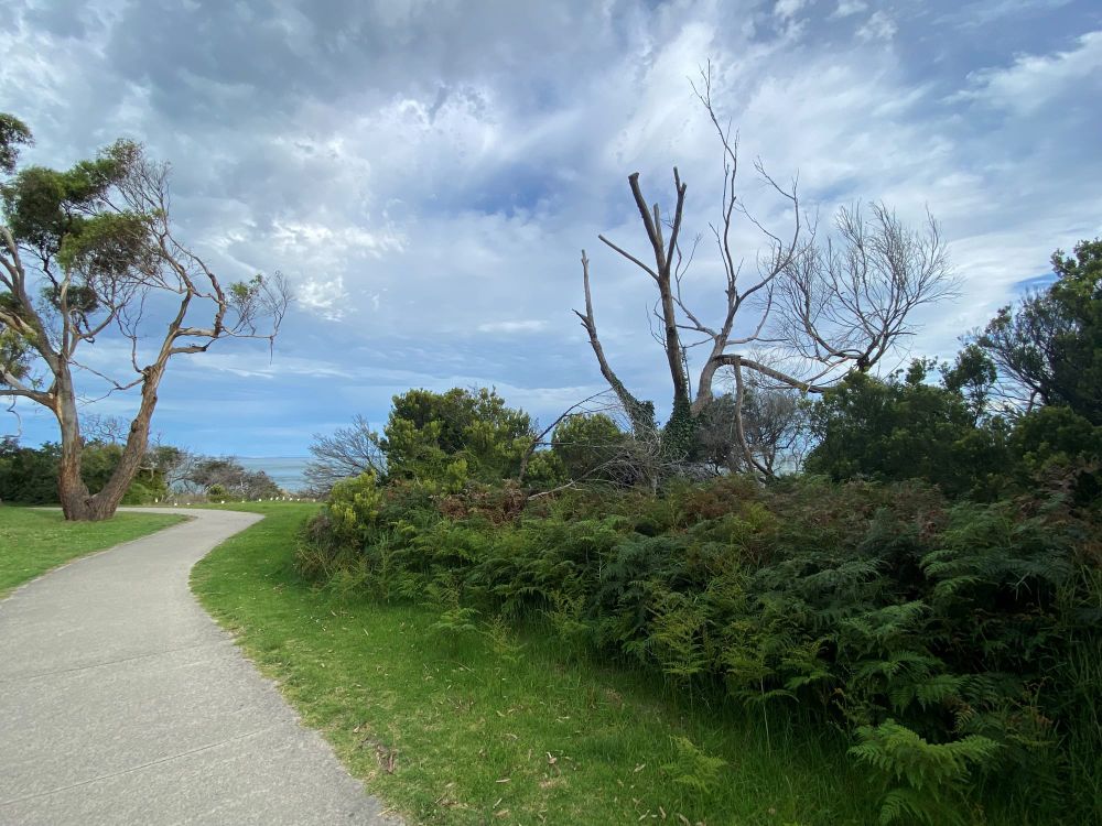 Only one way to go on Surf Parade, they say post image