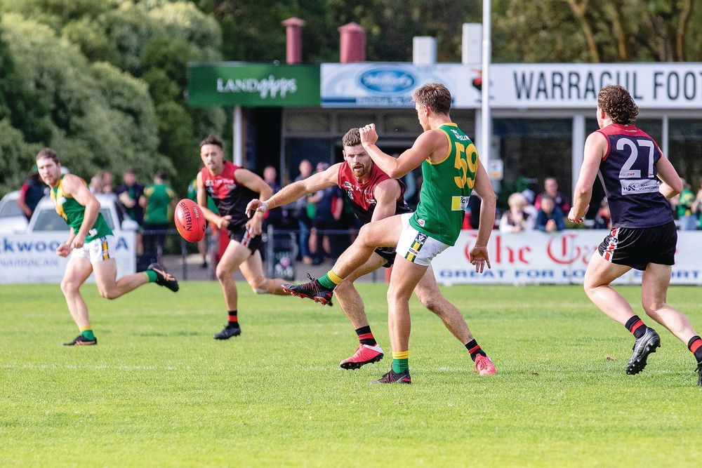 Parrots fly high after quarter time post image