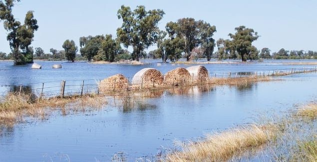 Post-flood irrigation checks to set you on the right path post image