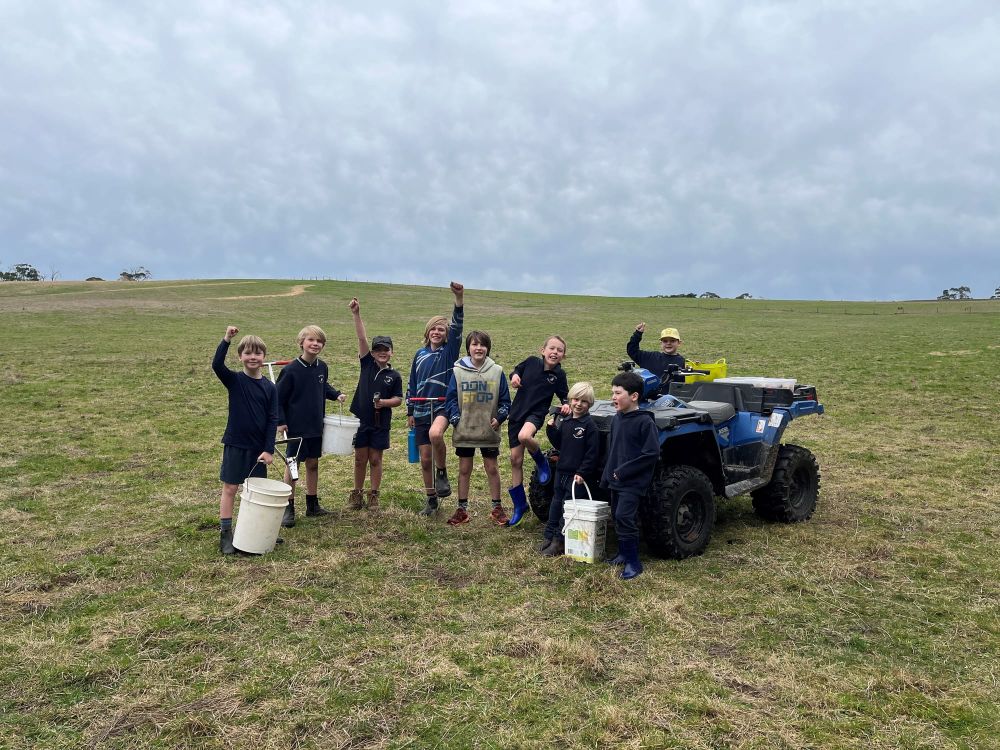 Kongwak PS helps in revegetating a kilometre-long wildlife corridor post image