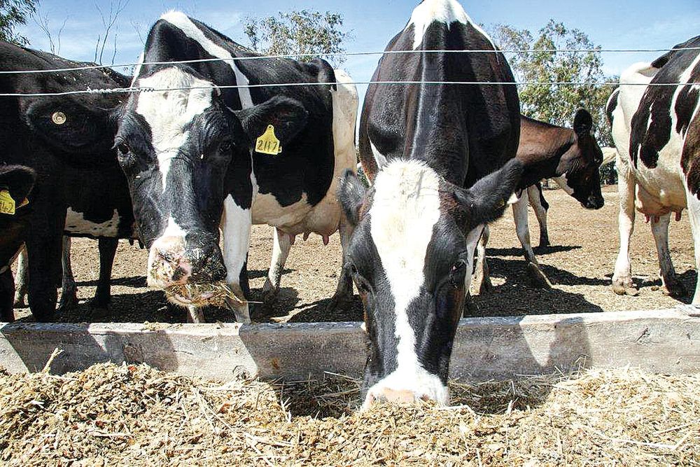 Dairy Farm Monitor reports another positive year post image