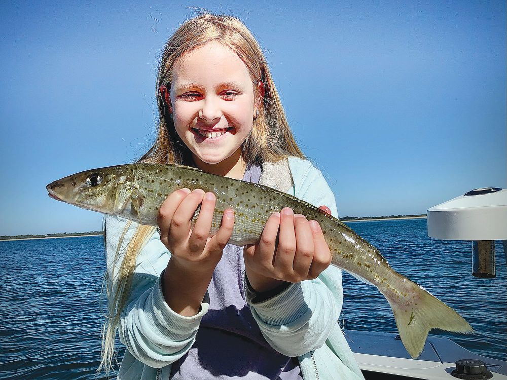 Around The Bay post image