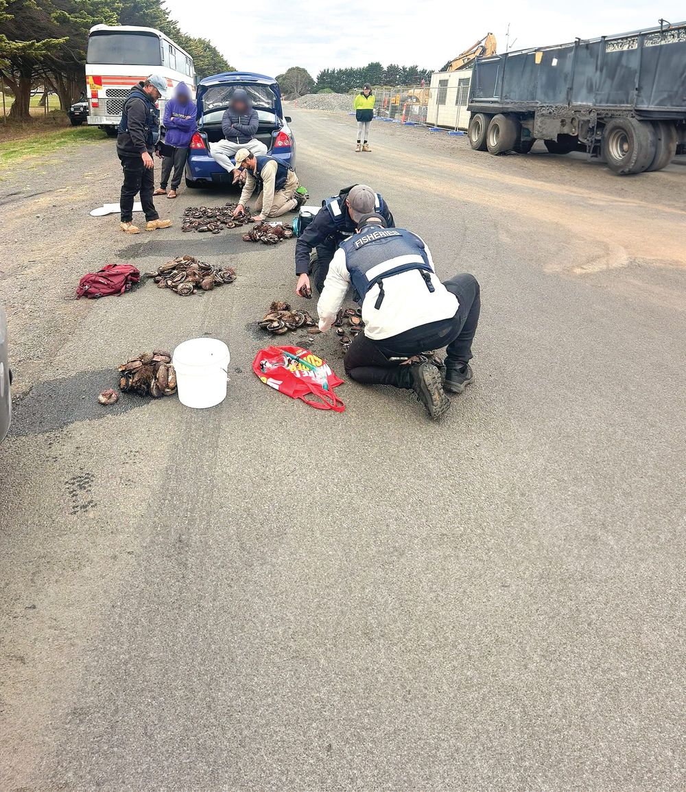 Absolute debacle - VFA’s abalone raid sparks calls to keep fisheries post image