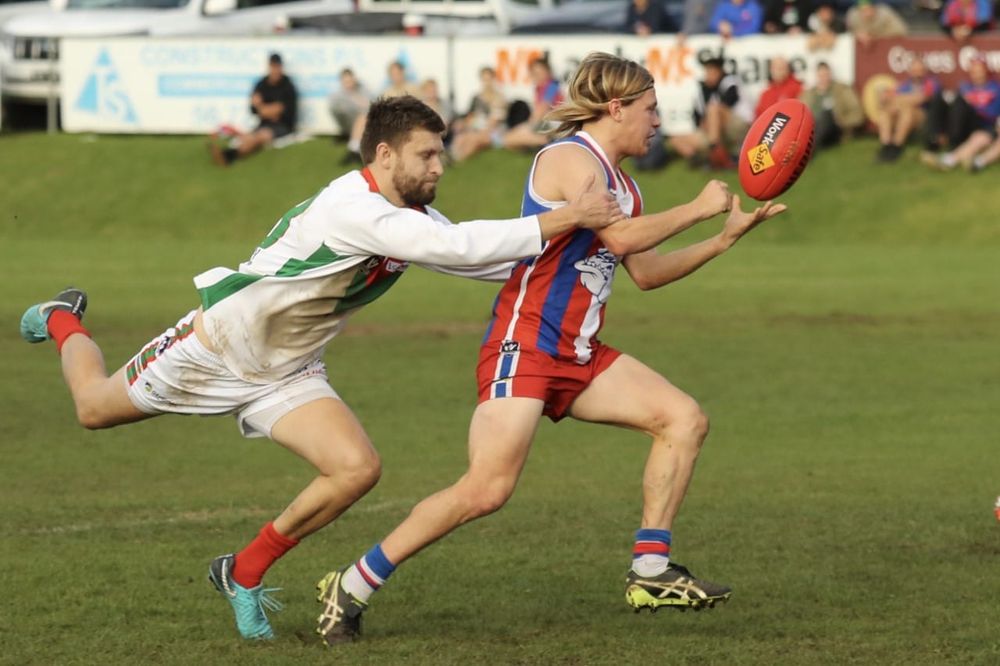Island prove they’re the gold standard post image