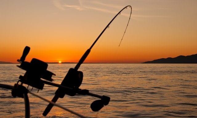 Tagged bream set to lure tourists to Gippsland post image