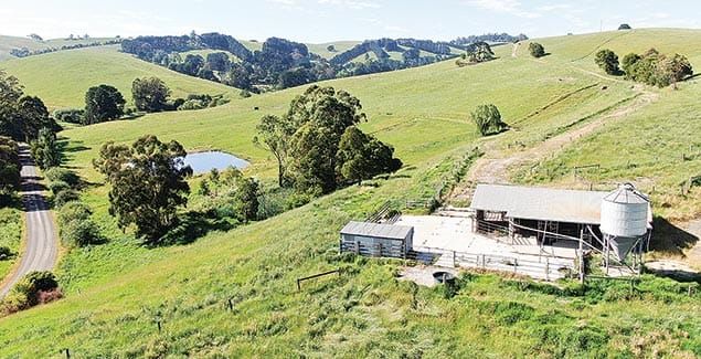South Gippsland grazing block 40ha post image