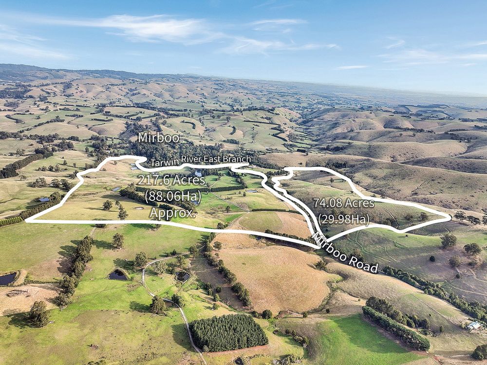 ‘Ripplebrook’ - 291 acres of well-kept Bluegum grazing country post image