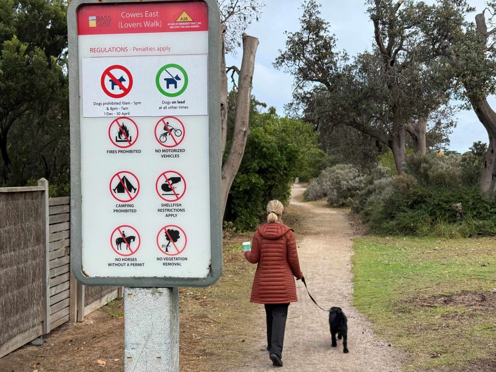 If you don't know how to do it... they’ll tell you how to walk the dog post image