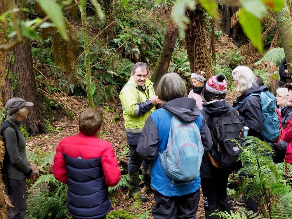 Tree Ferns and Crayfish, a perfect art and science cocktail post image
